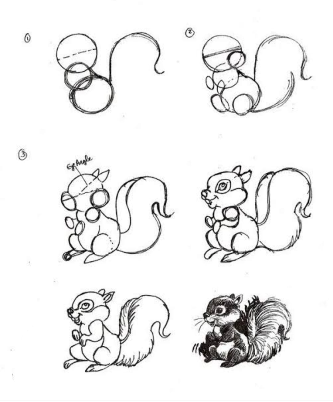 19+ easy and cute squirrel drawing ideas