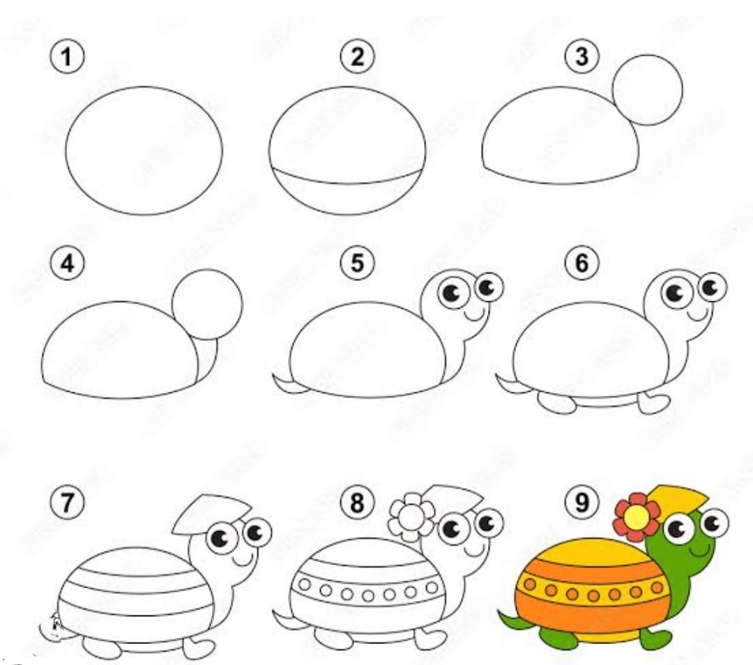 50+ easy and cute turtle drawing ideas