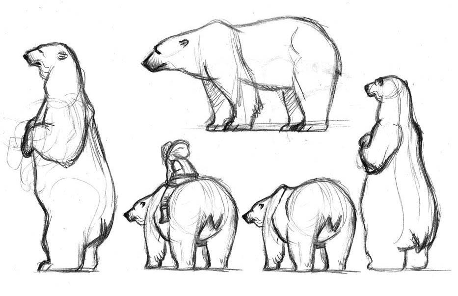 Draw a circle · step 2: Polar Bear Drawing Reference And Sketches For Artists