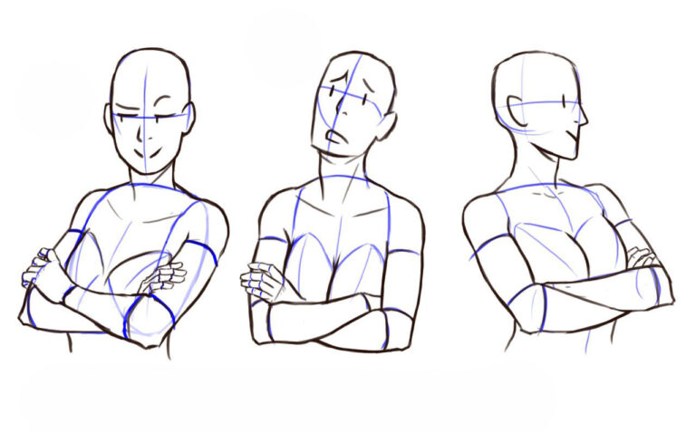 Arms crossed drawing reference and sketches for artists