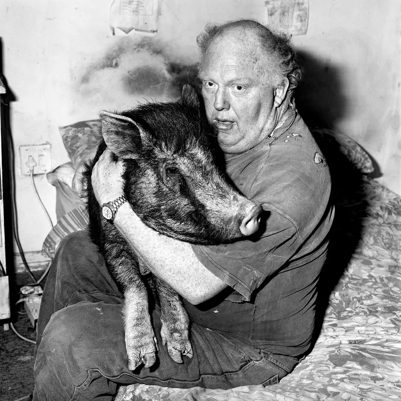 Roger Ballen, Brian with Pet Pig, 1998, black and white photograph, a man with a pig in a sparse and unsettling interior