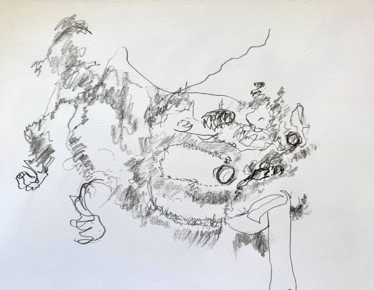 Student contour drawing showing slow deliberate lines of varying width and pressure, recording the surface structure of a subject through sustained looking