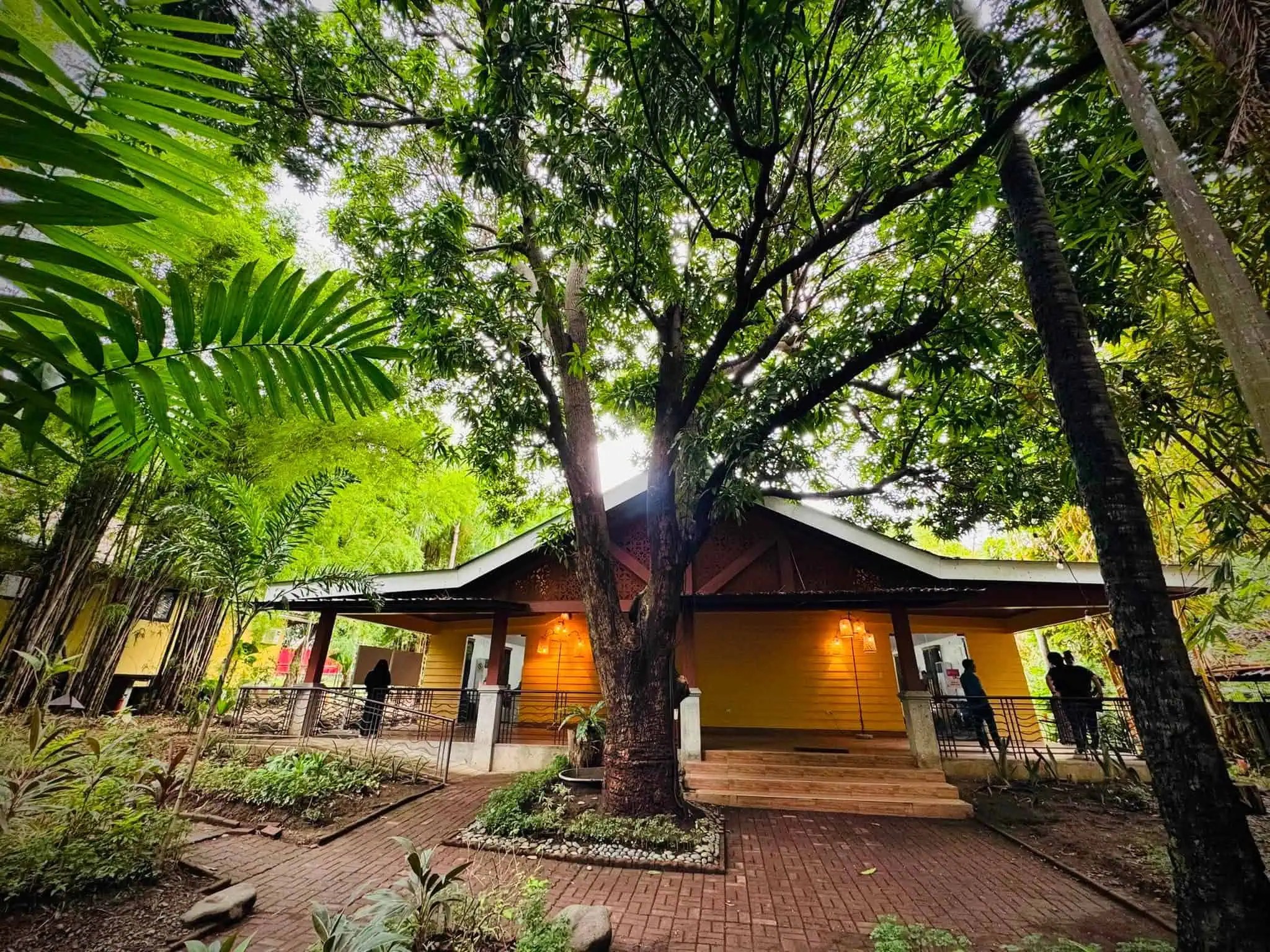 Camp Balai Isabel (5)