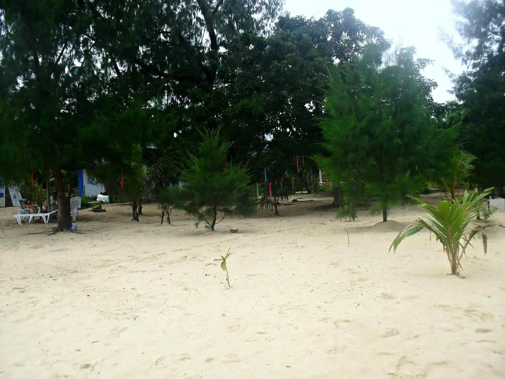 beach-front-grounds-1