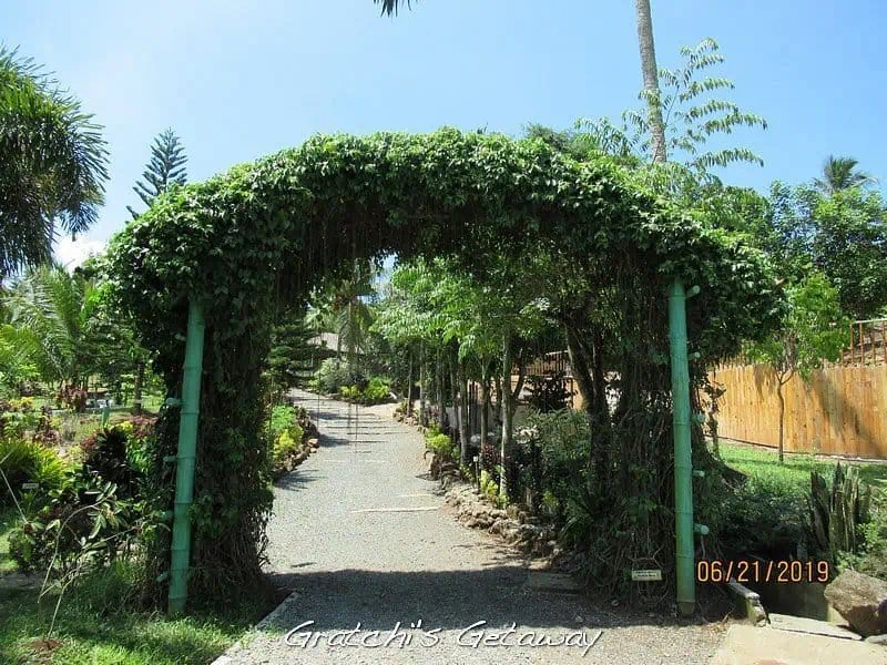 gratchi-s-getaway-arch
