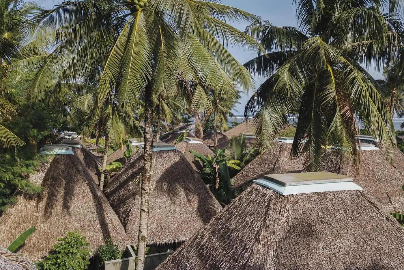 ocean-view-from-the-nipa