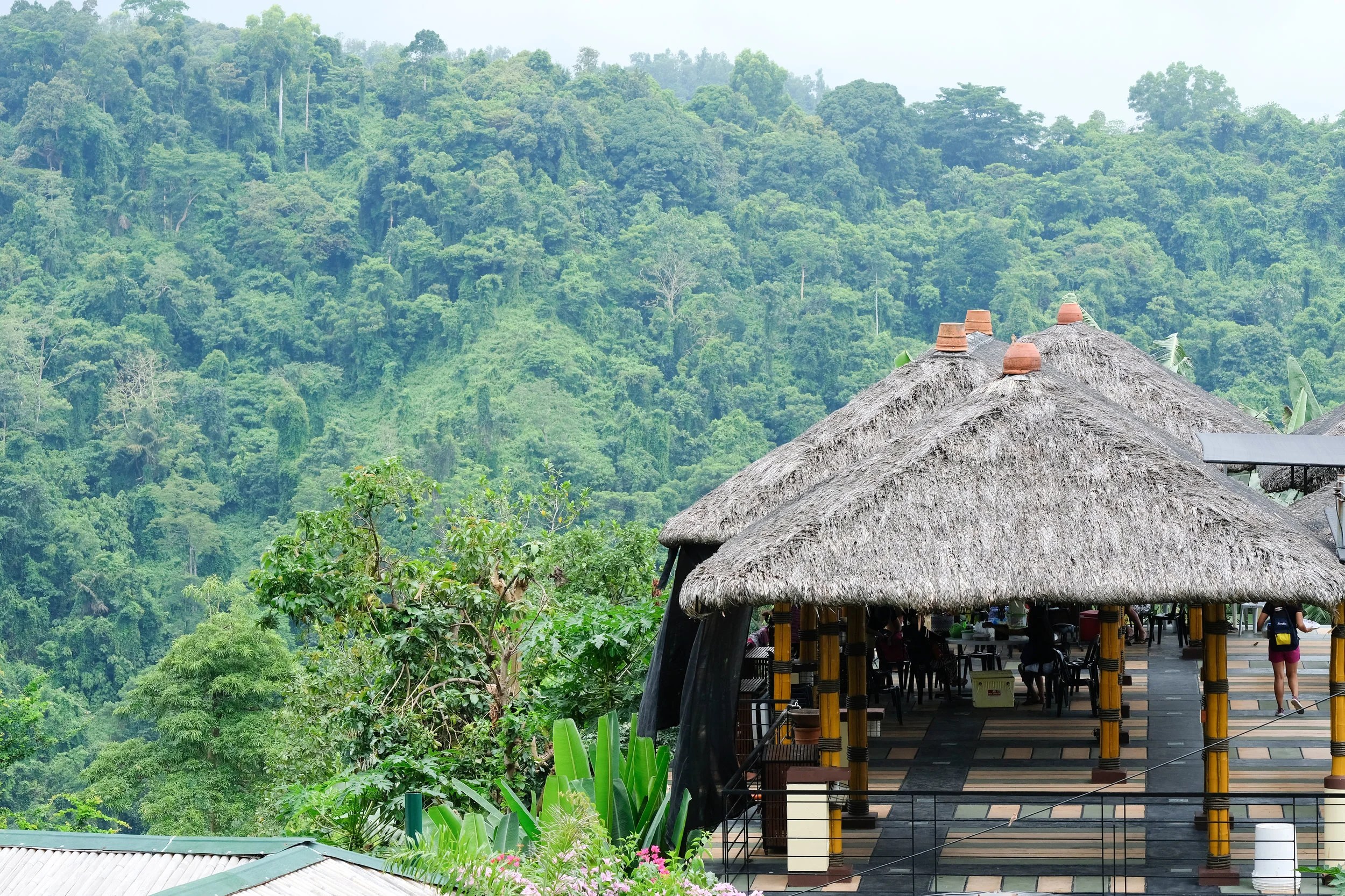 DSCF4637.webp