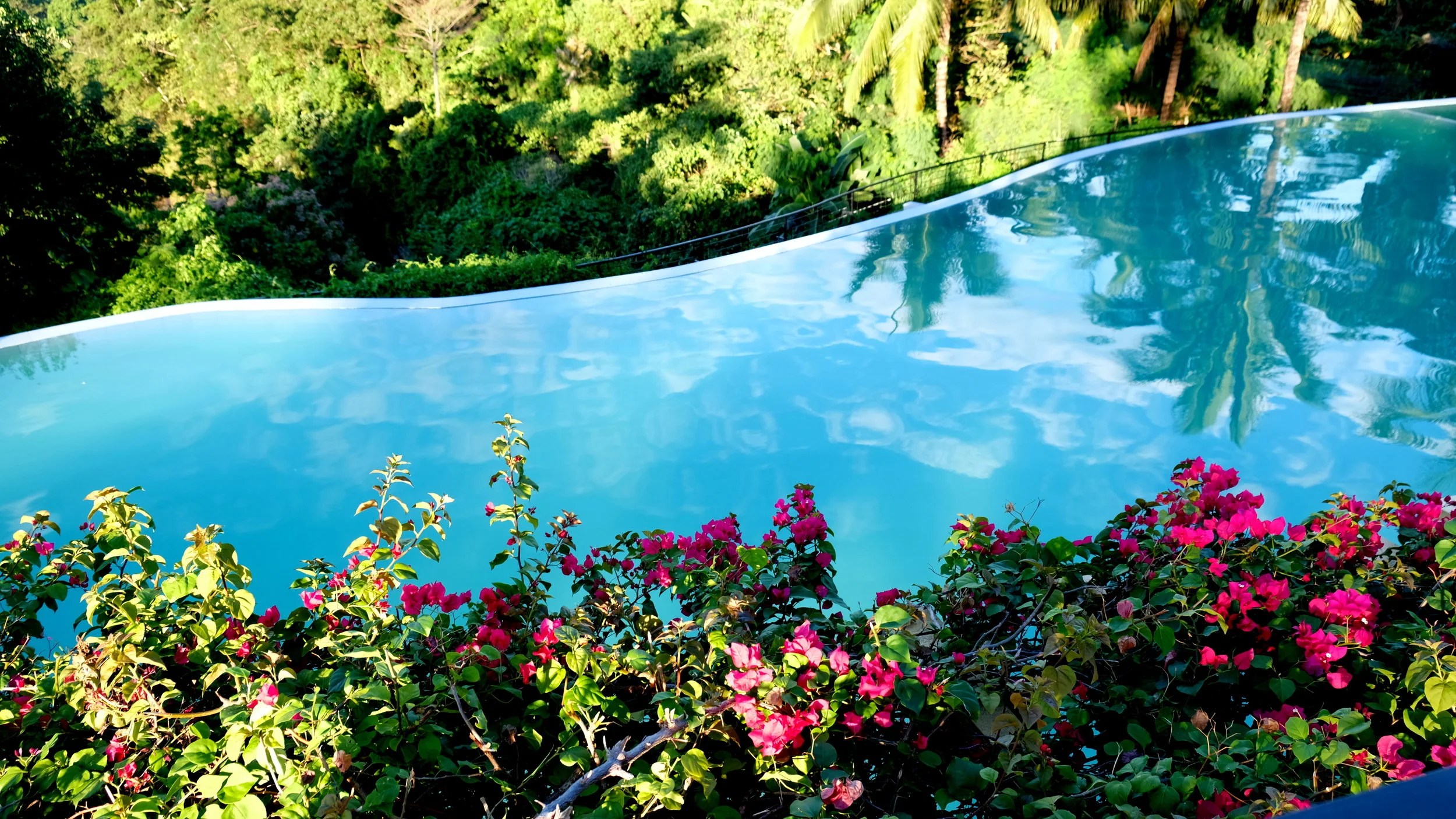 DSCF8716.webp