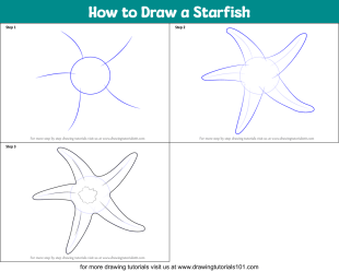 starfish draw drawing step drawings drawingtutorials101 simple animals easy fish tutorial printable painting sheet visit paintingvalley
