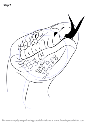 python draw burmese drawing step animals reptiles tutorials drawingtutorials101 tutorial