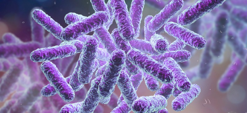 Human Microbiome How It Works A Diet For Gut Health