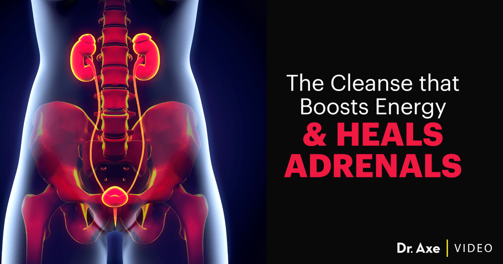 Kidney Cleanse Diet Protocol Dr Axe