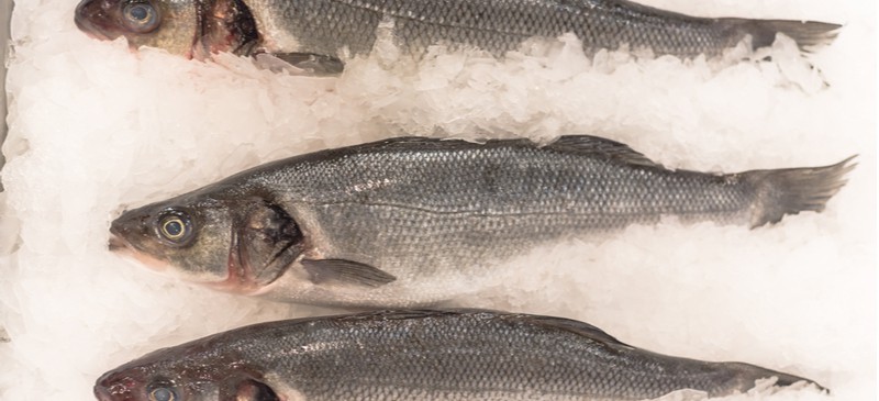 picture Popular Fish To Eat In Australia 17 fish you should never eat plus