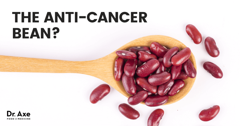Top 5 Benefits Of Kidney Beans Nutrition Kidney Beans