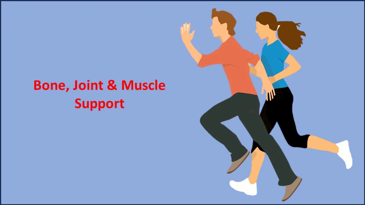 60 Day Bone Joint Muscle Support Bundle Dr Baritz