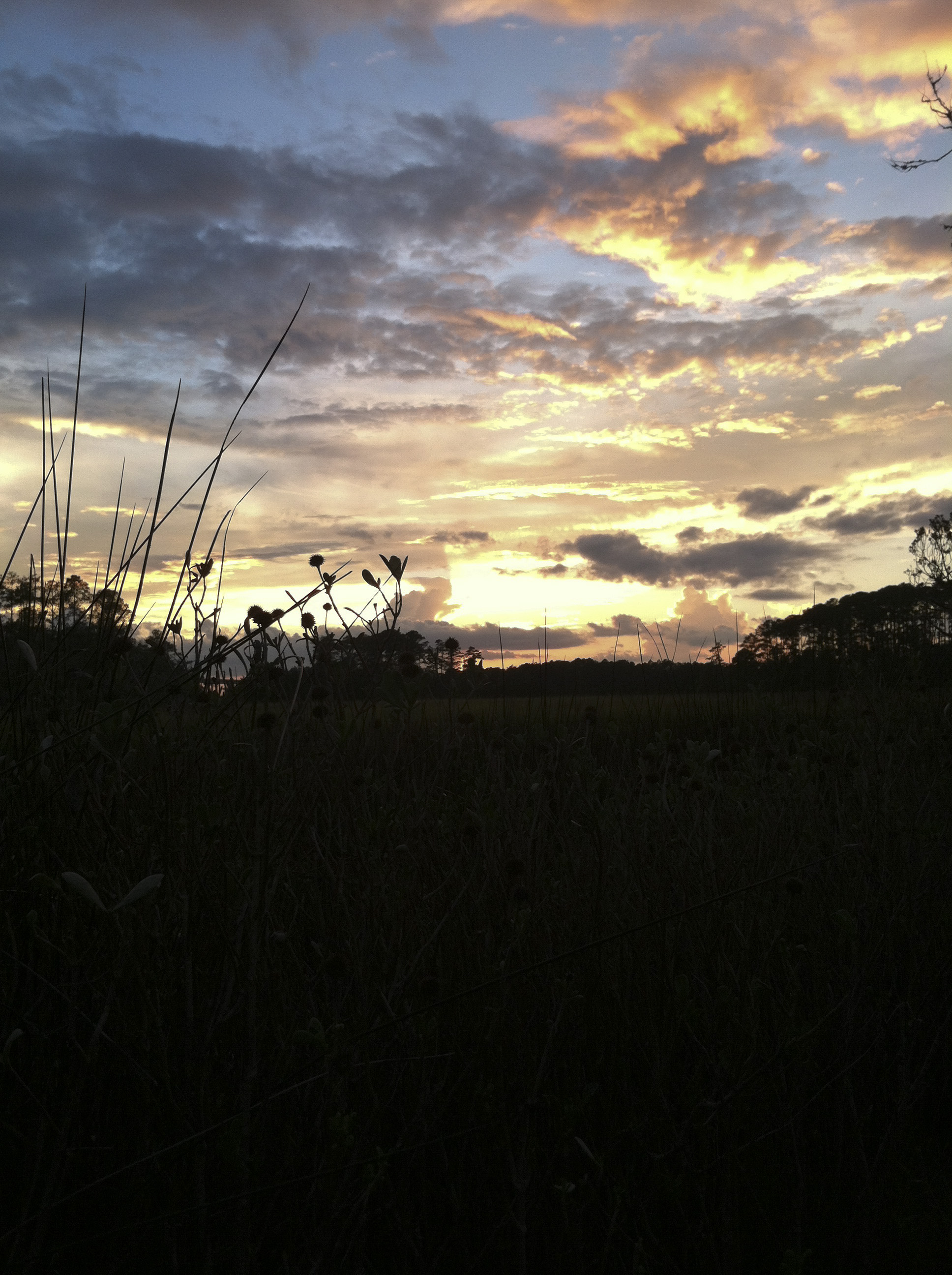 skidaway-park-3