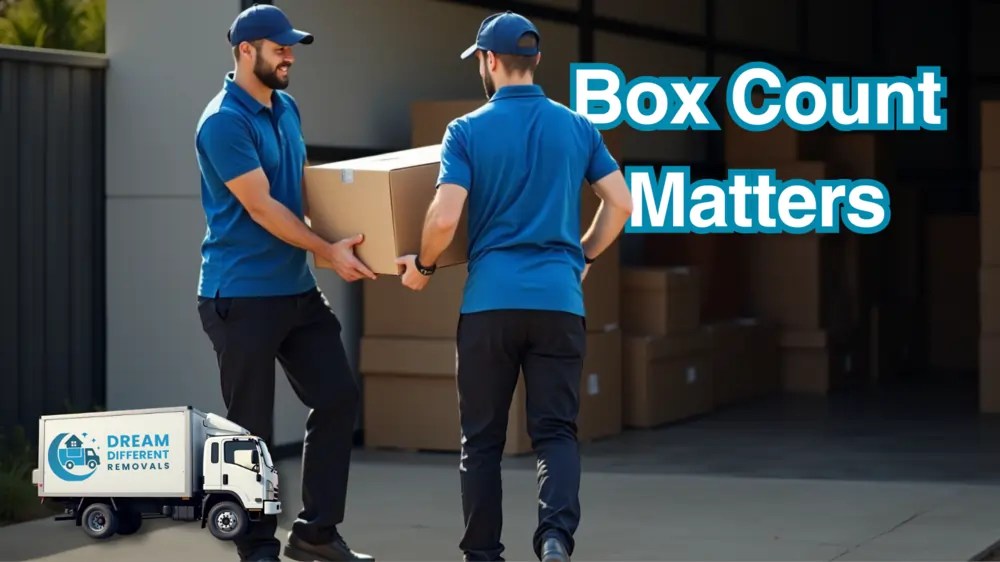 Storage facility with labelled moving boxes