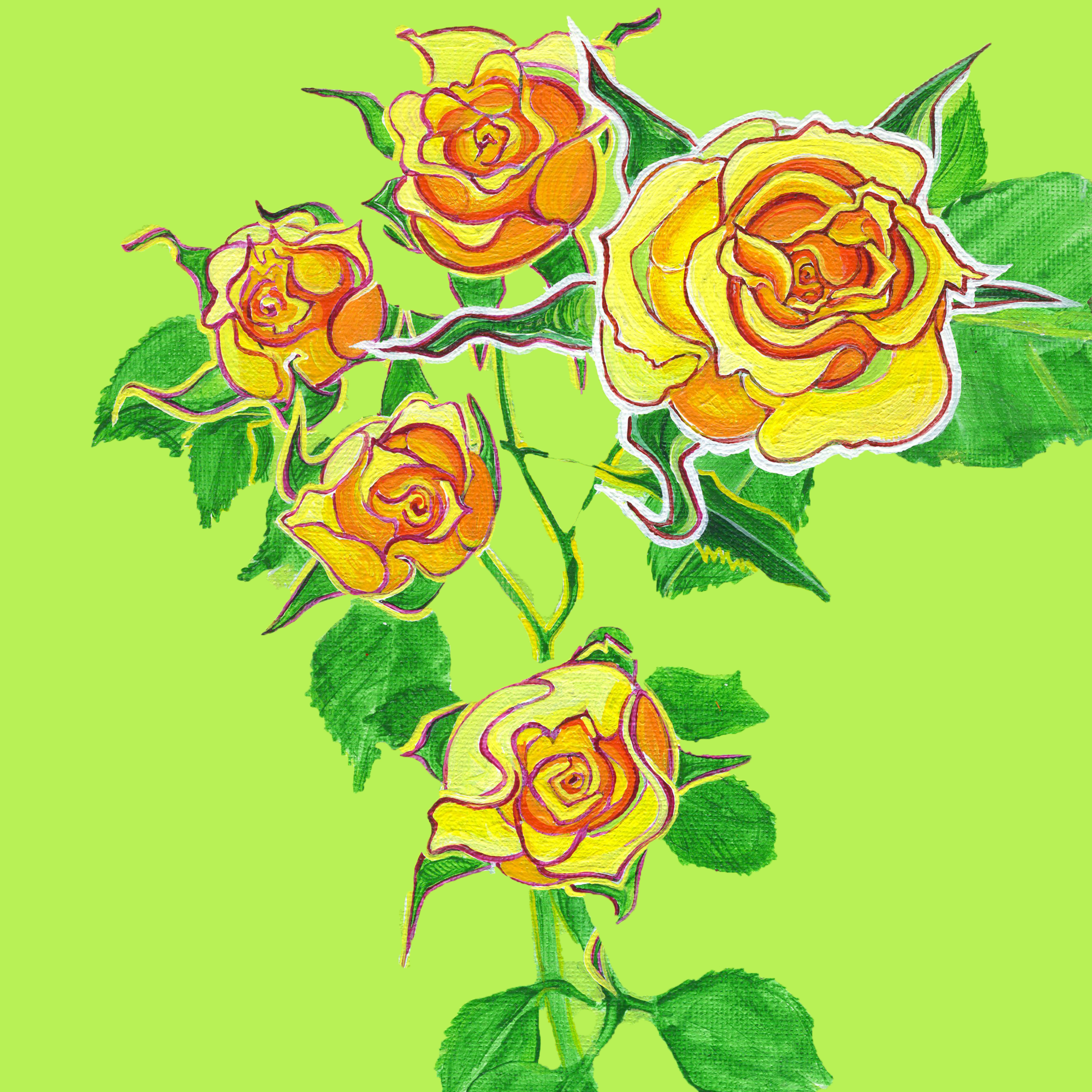 Rose 7