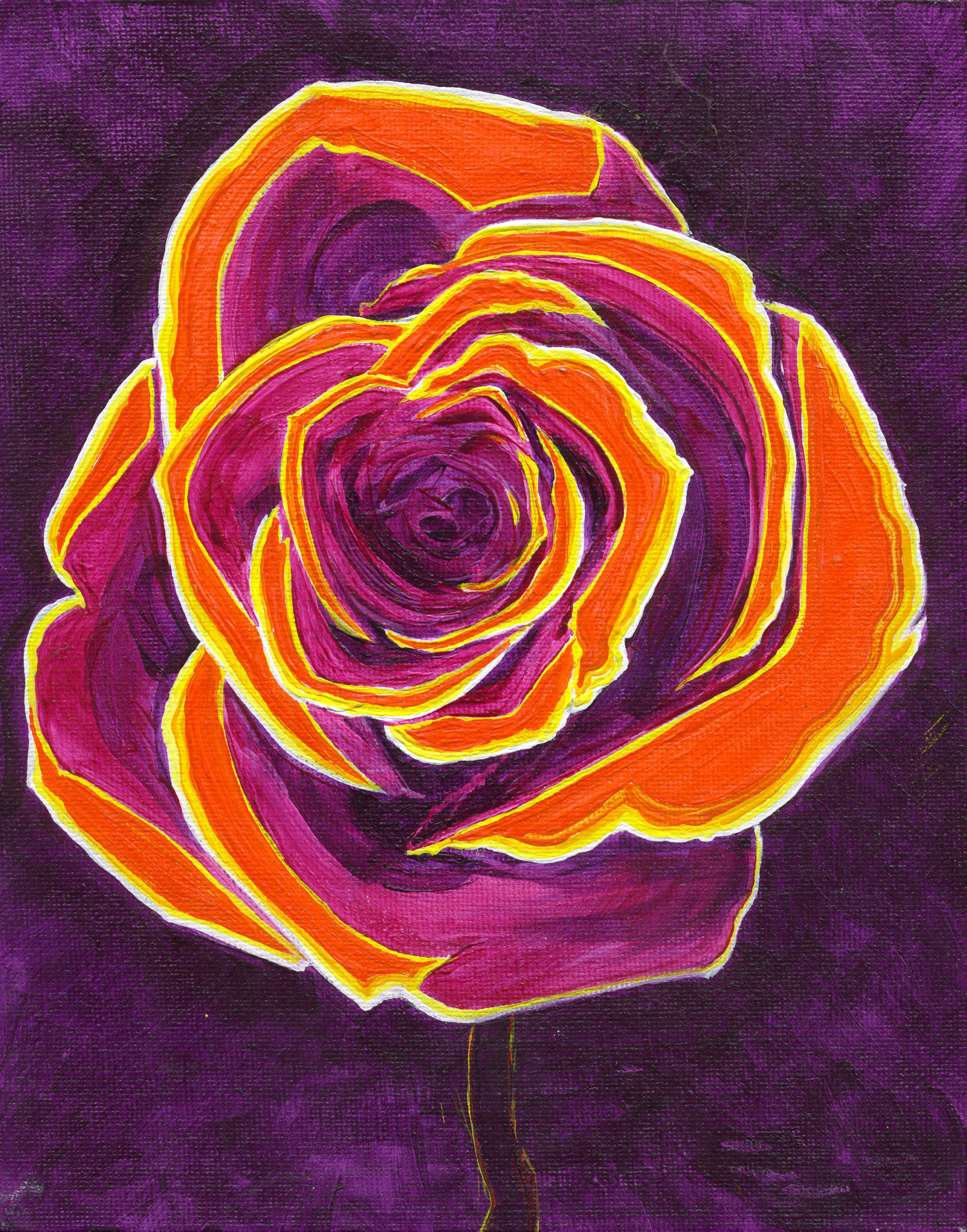 Rose 6