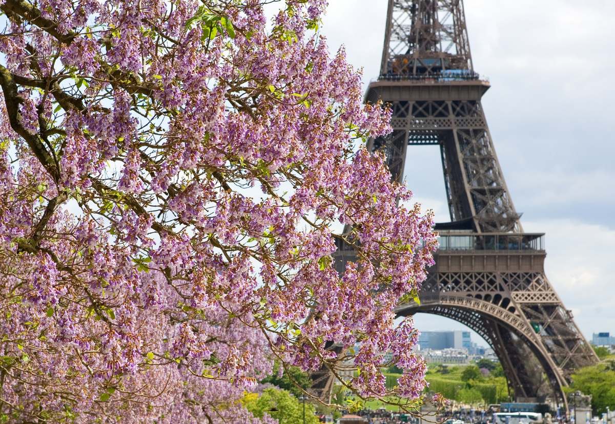 16 prettiest streets in paris worth visiting