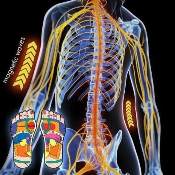chaussettes magnetiques magnetosocks 22
