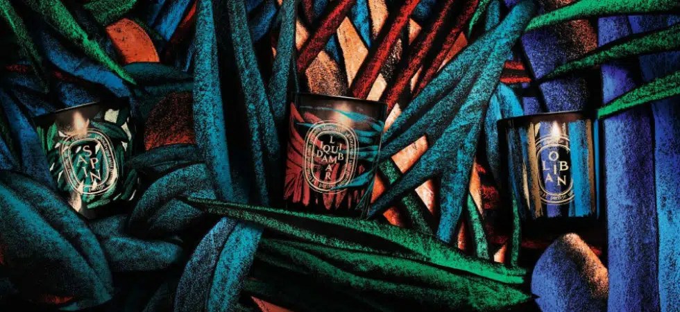 DIPTYQUE SAPIN WINTER HOLIDAY CANDLE | CHICSCIENCE