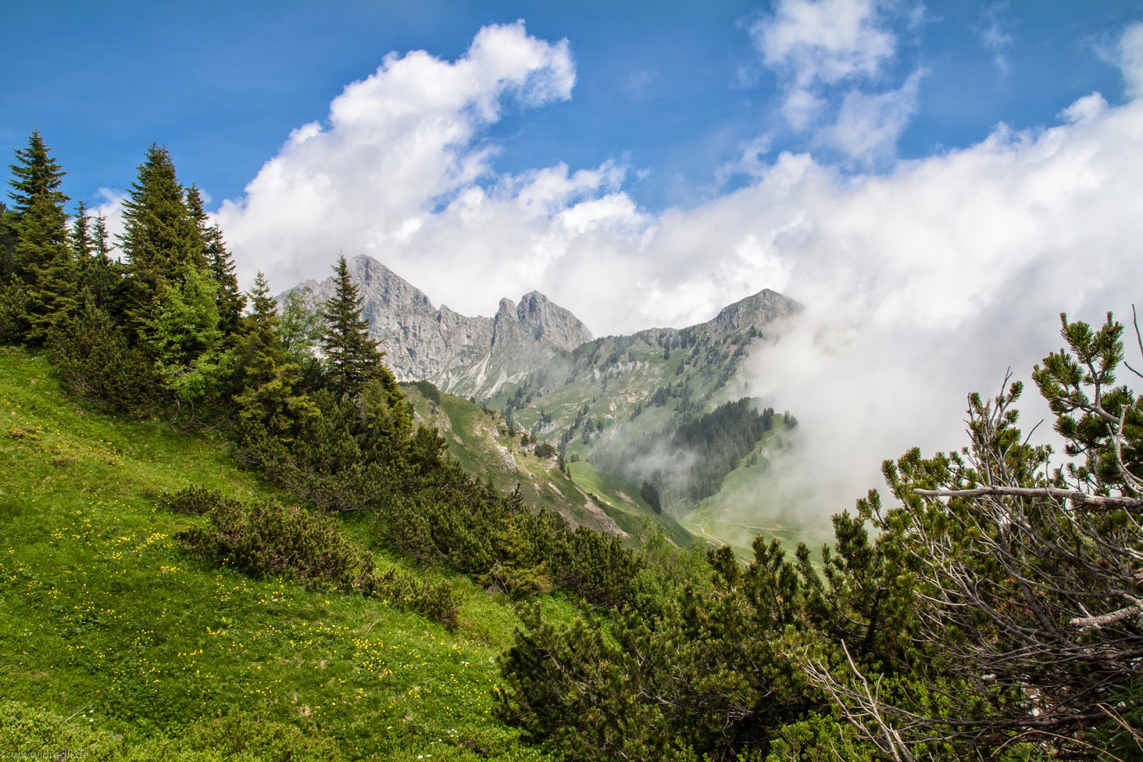 Auf dem Hahnenkamm in Reutte 8