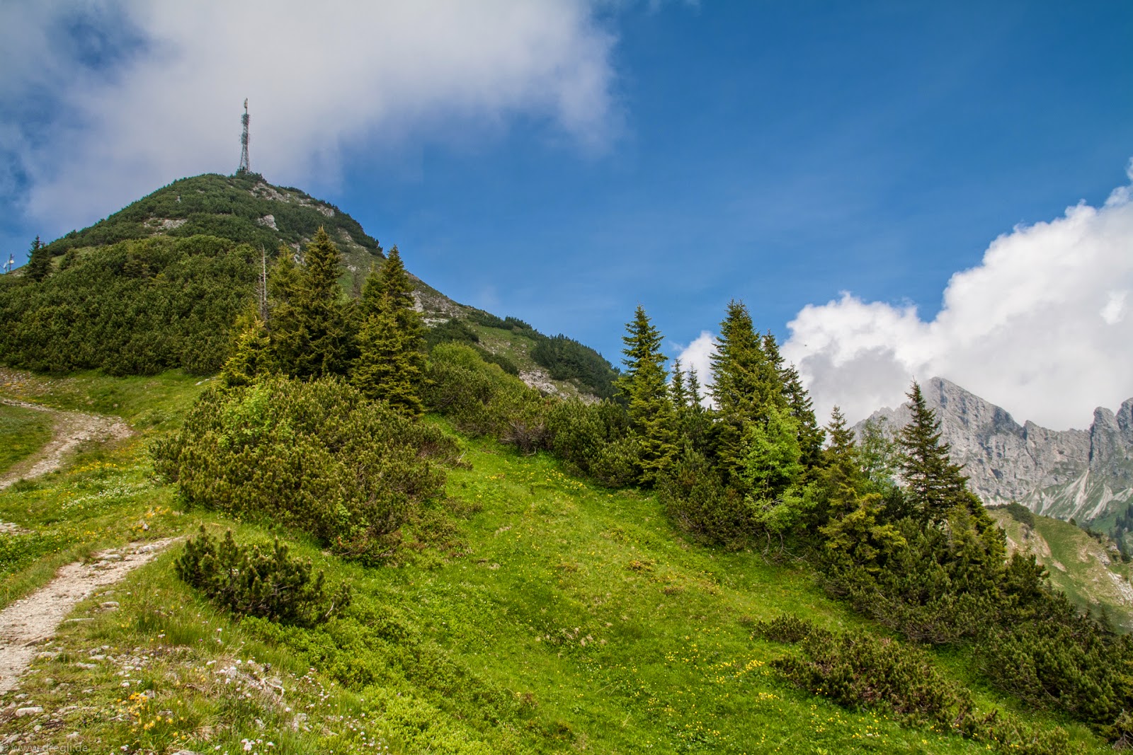 Auf dem Hahnenkamm in Reutte 7