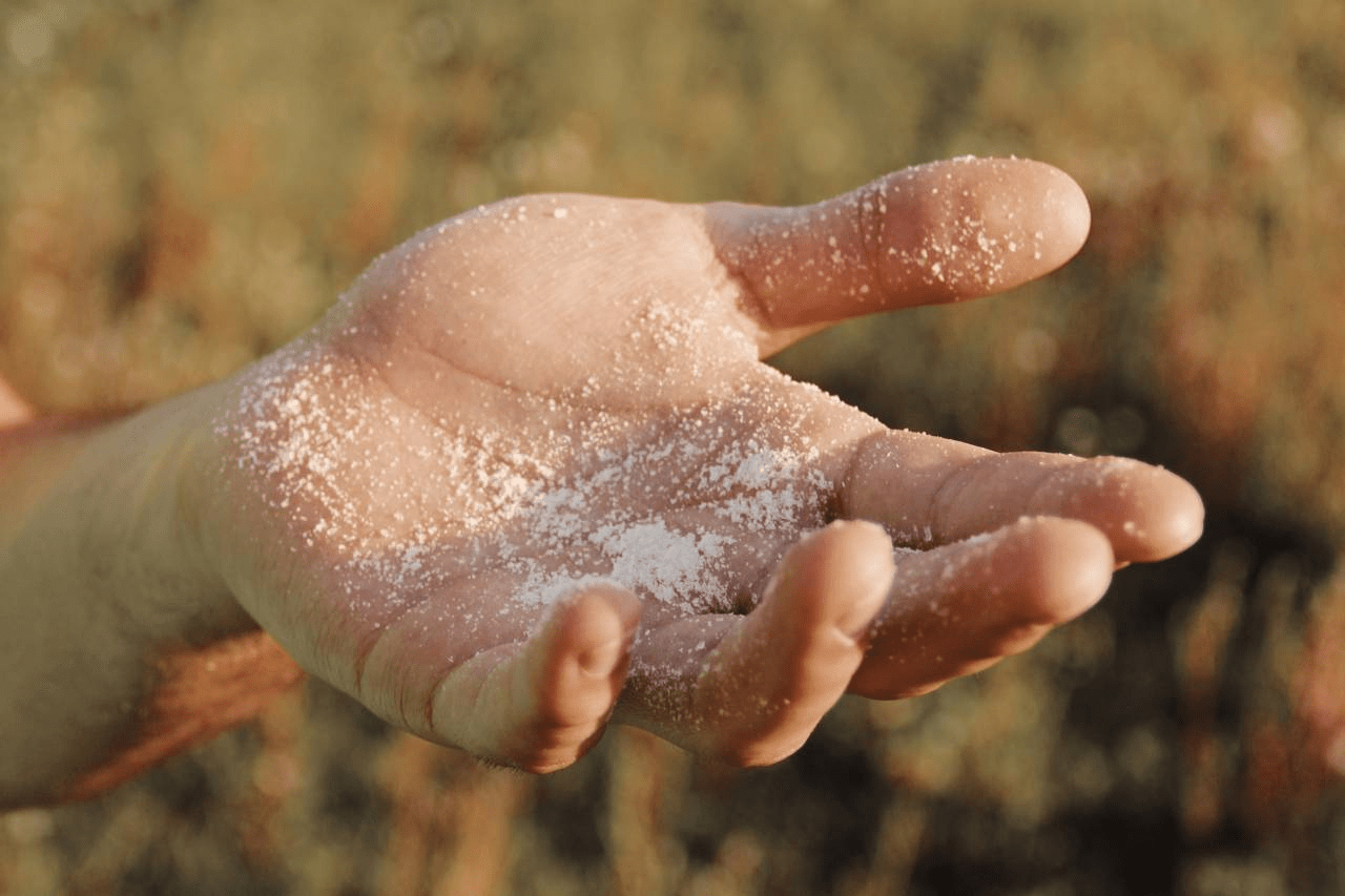 More Than Salt and Light — for Epiphany 5A