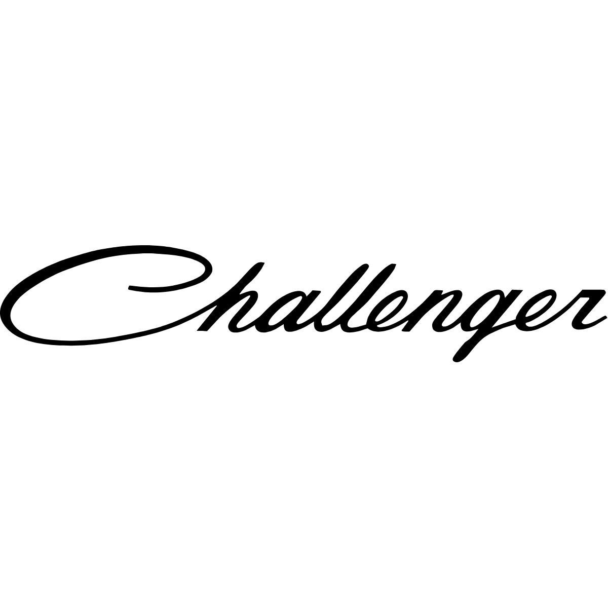 L ぬるく CHALLENGER SCRIPT LOGO SWINGTOP BLACK