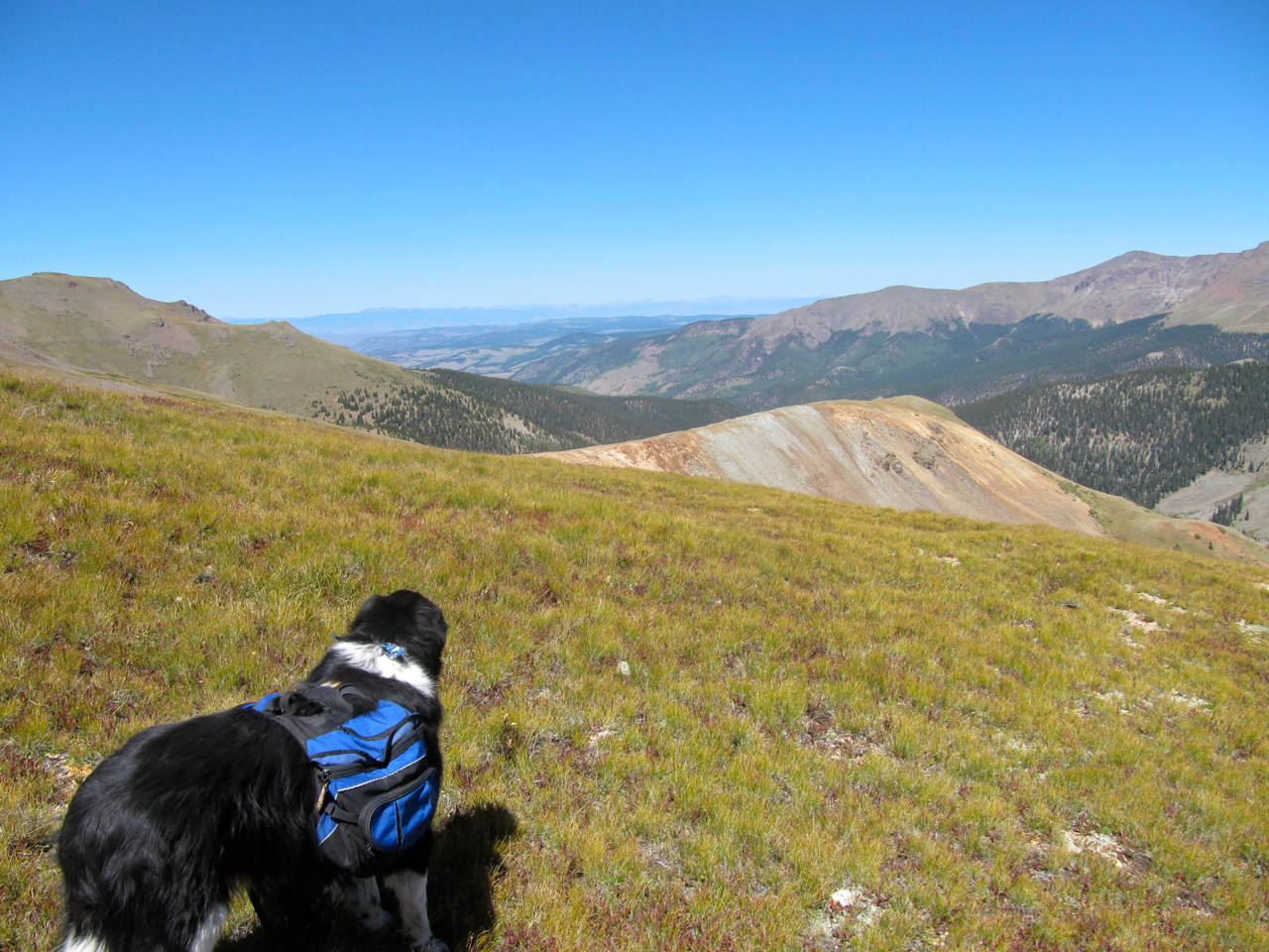 Colorado Trail 2015 Walking to the light