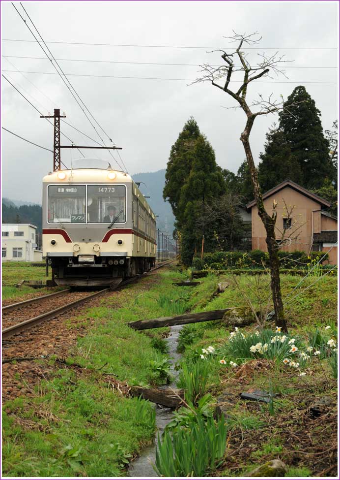 桜前線追っかけ2010年Ⅱ Part9 富山地方鉄道3 | DRFC-OB