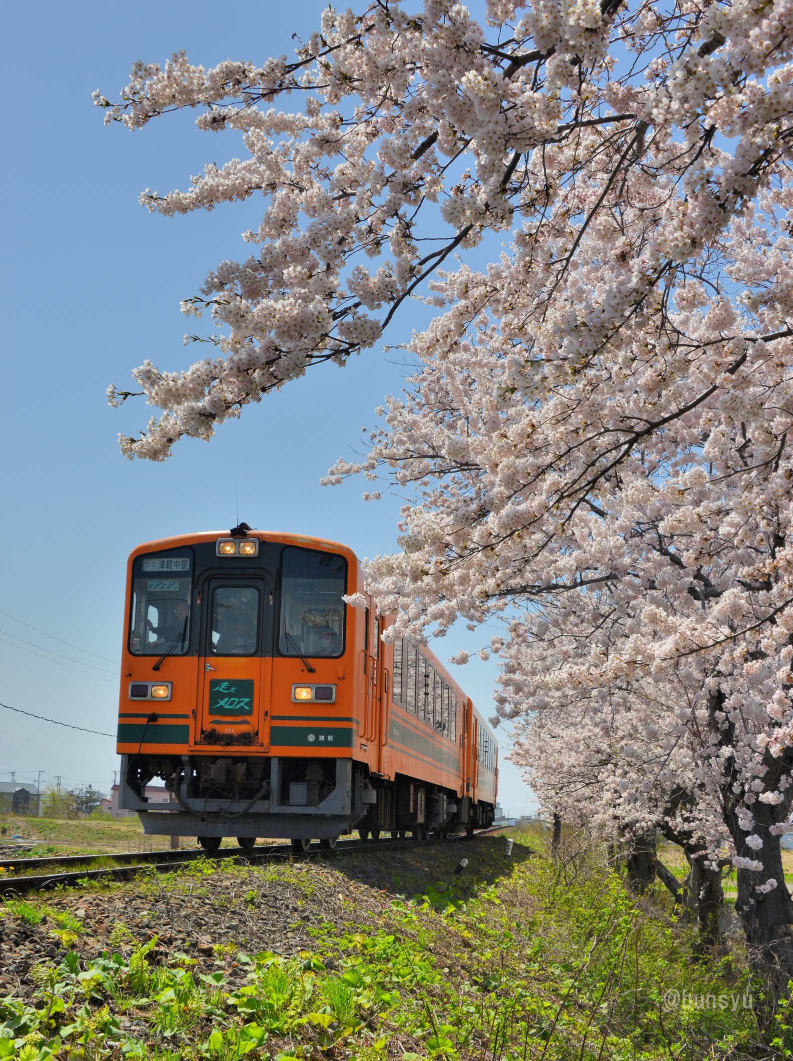 奥津軽、春の1人旅 桜満開の津軽鉄道 Part1 旅立ち | DRFC-OB