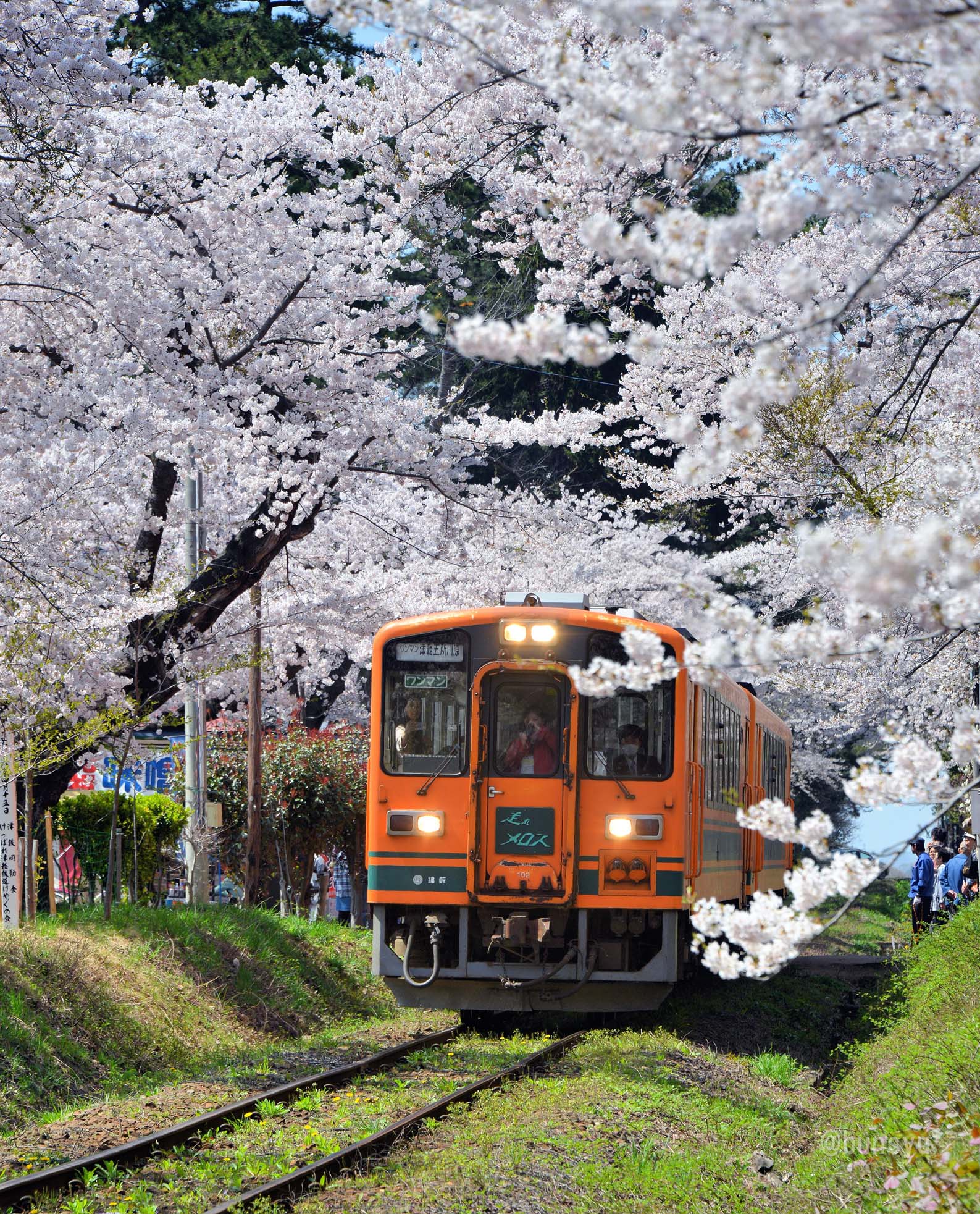 DSC_2188017.jpg?fit=969,1200&ssl=1