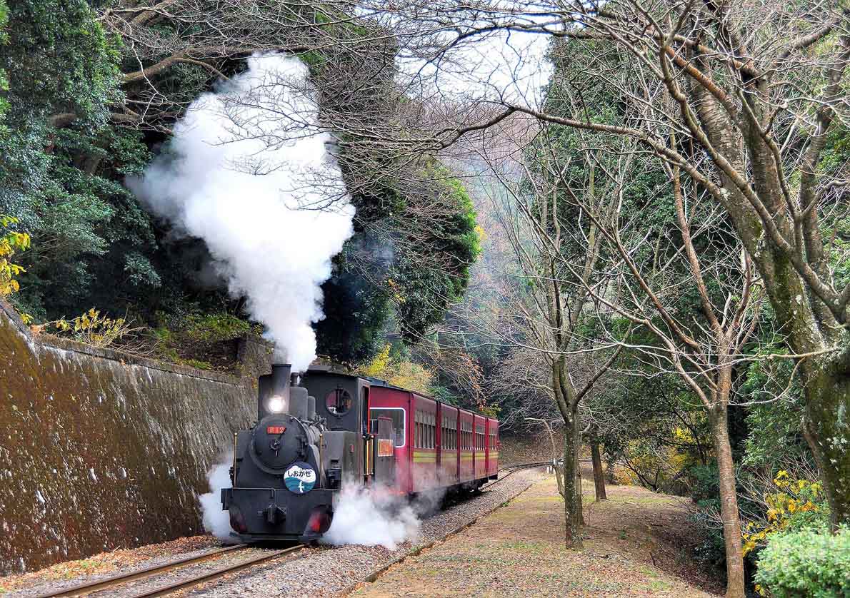 愛知こどもの国へ行ってきました | DRFC-OB デジタル青信号