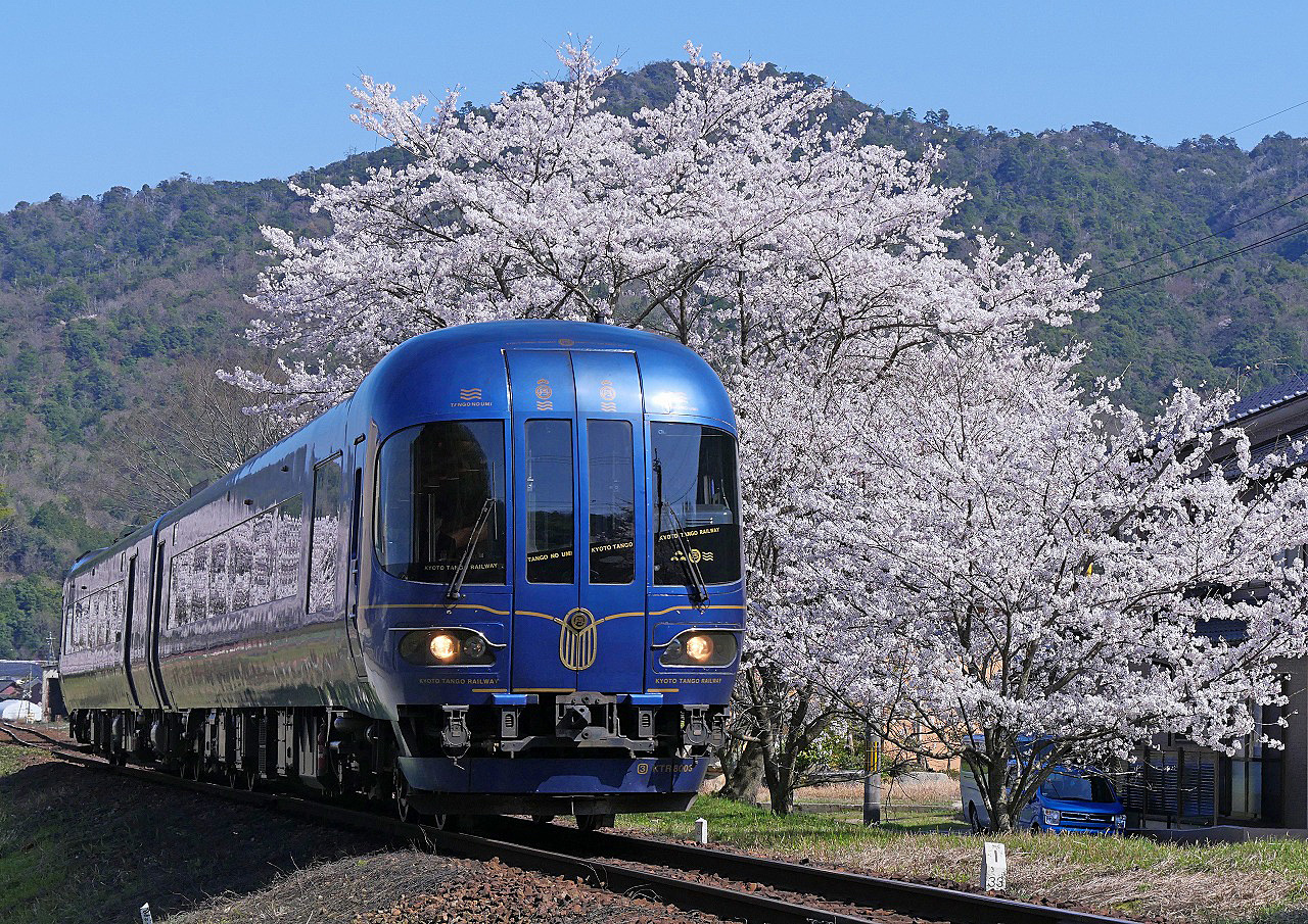 やっぱり桜 ことしも満喫 ④ | DRFC-OB デジタル青信号