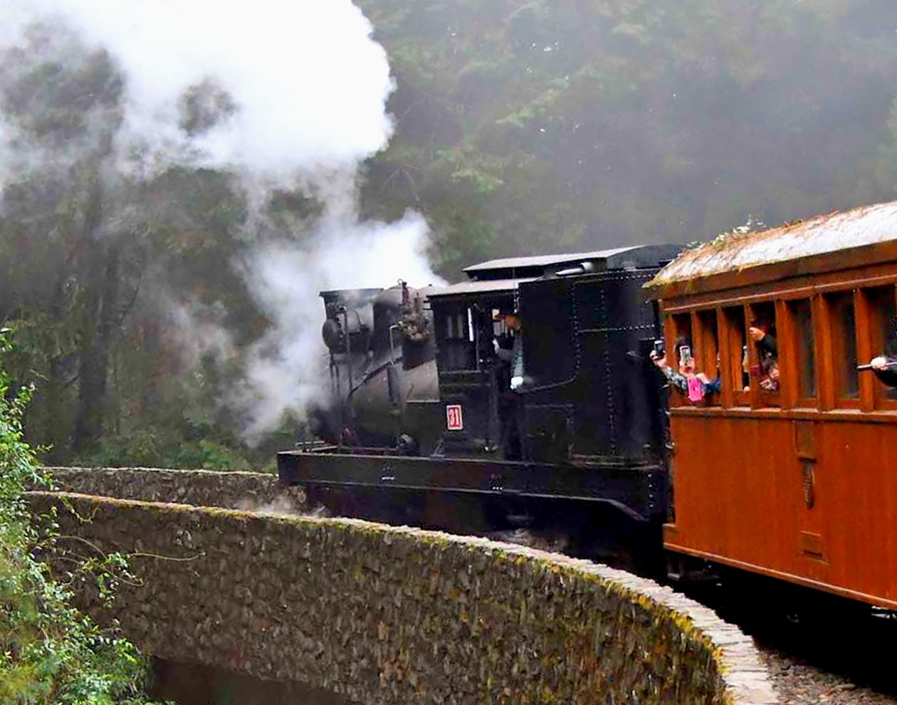 癒しの島 台湾鉄道2023年初冬の旅 Part8 阿里山へ向かう | DRFC-OB