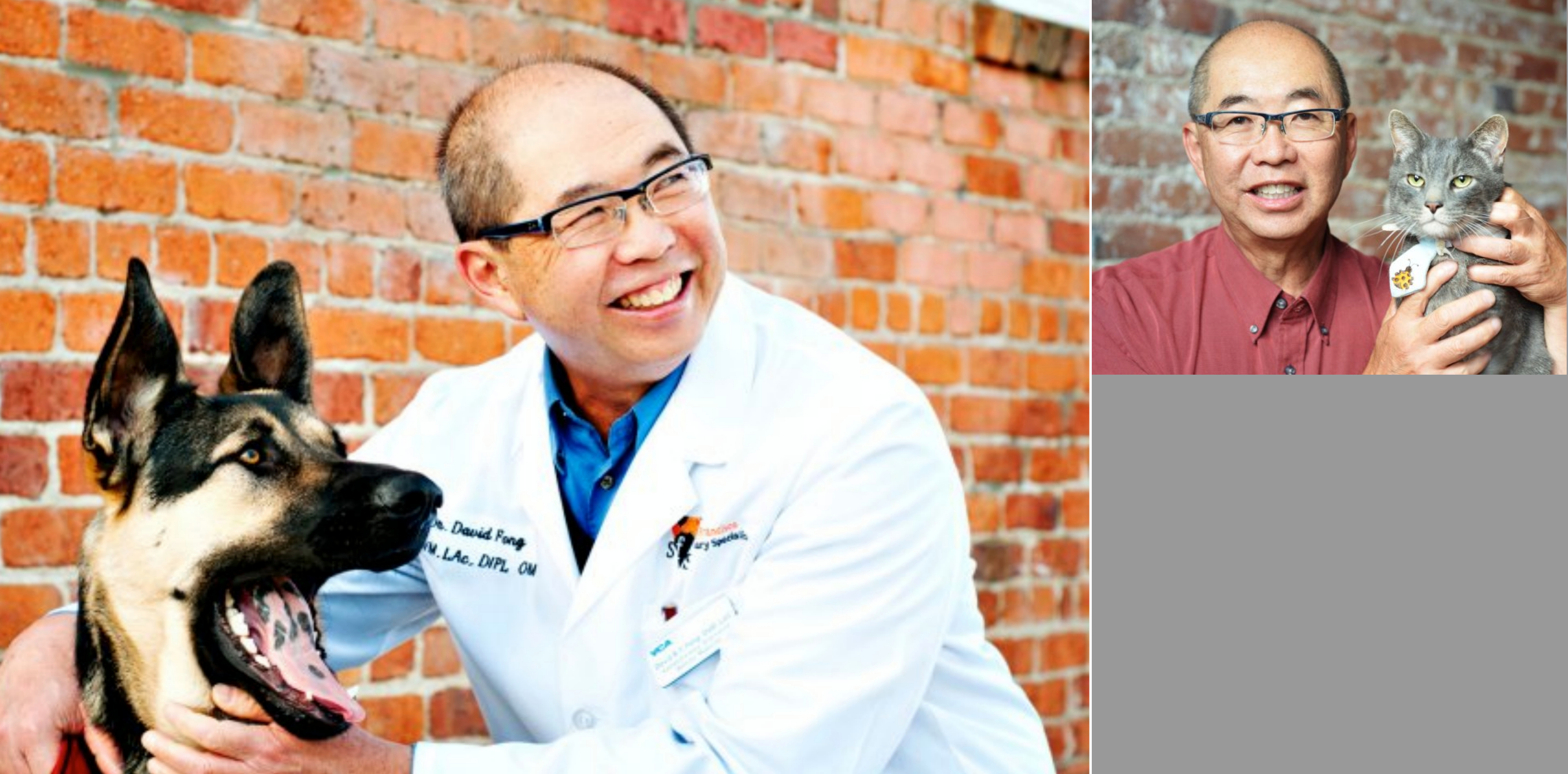 5 Direction Integrative Veterinary Care logo