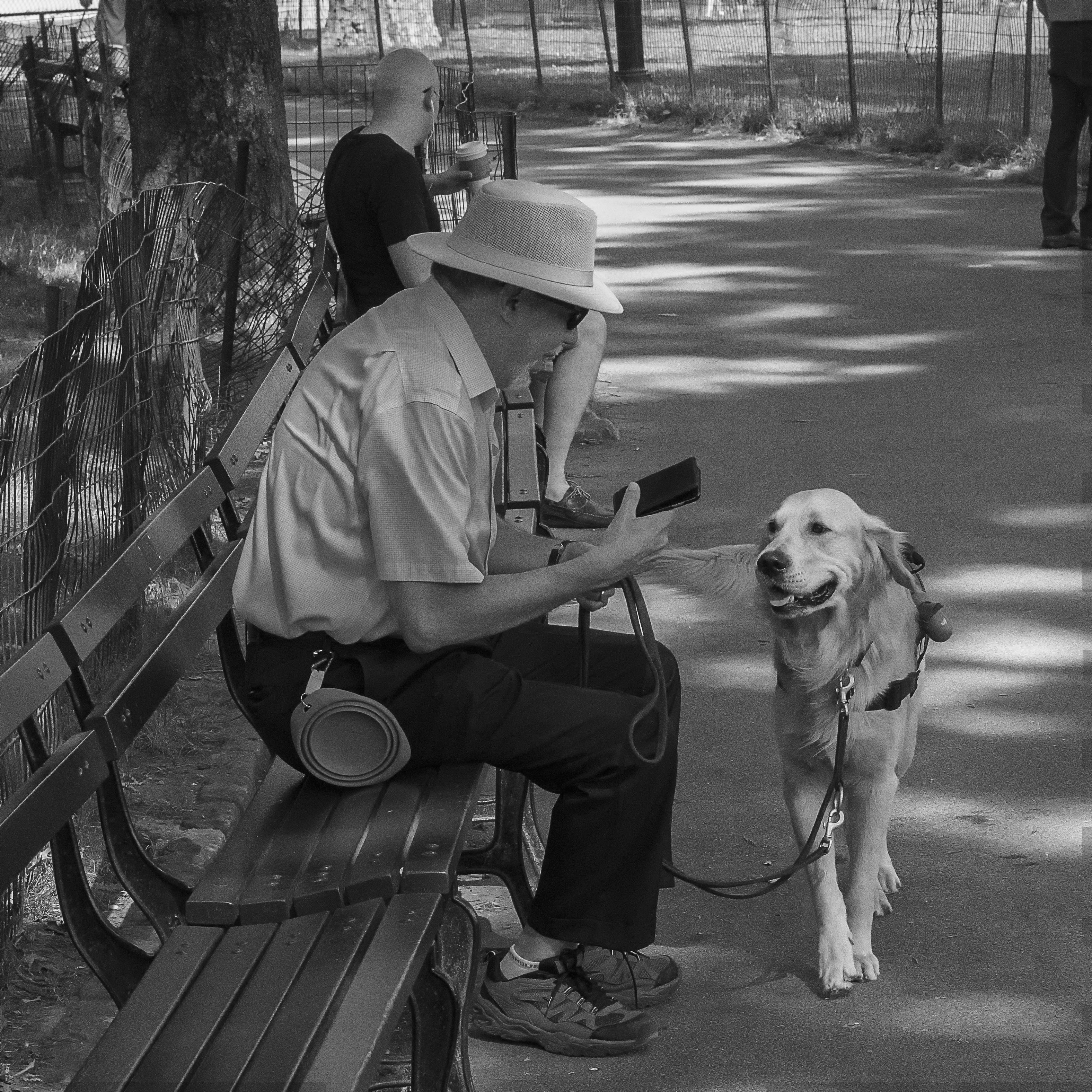 A man and his best friend on a bench in Central Park.