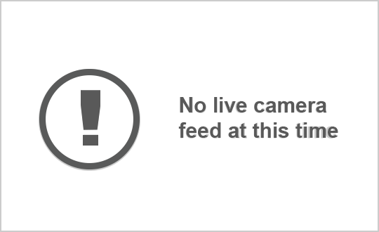 Highway Cameras