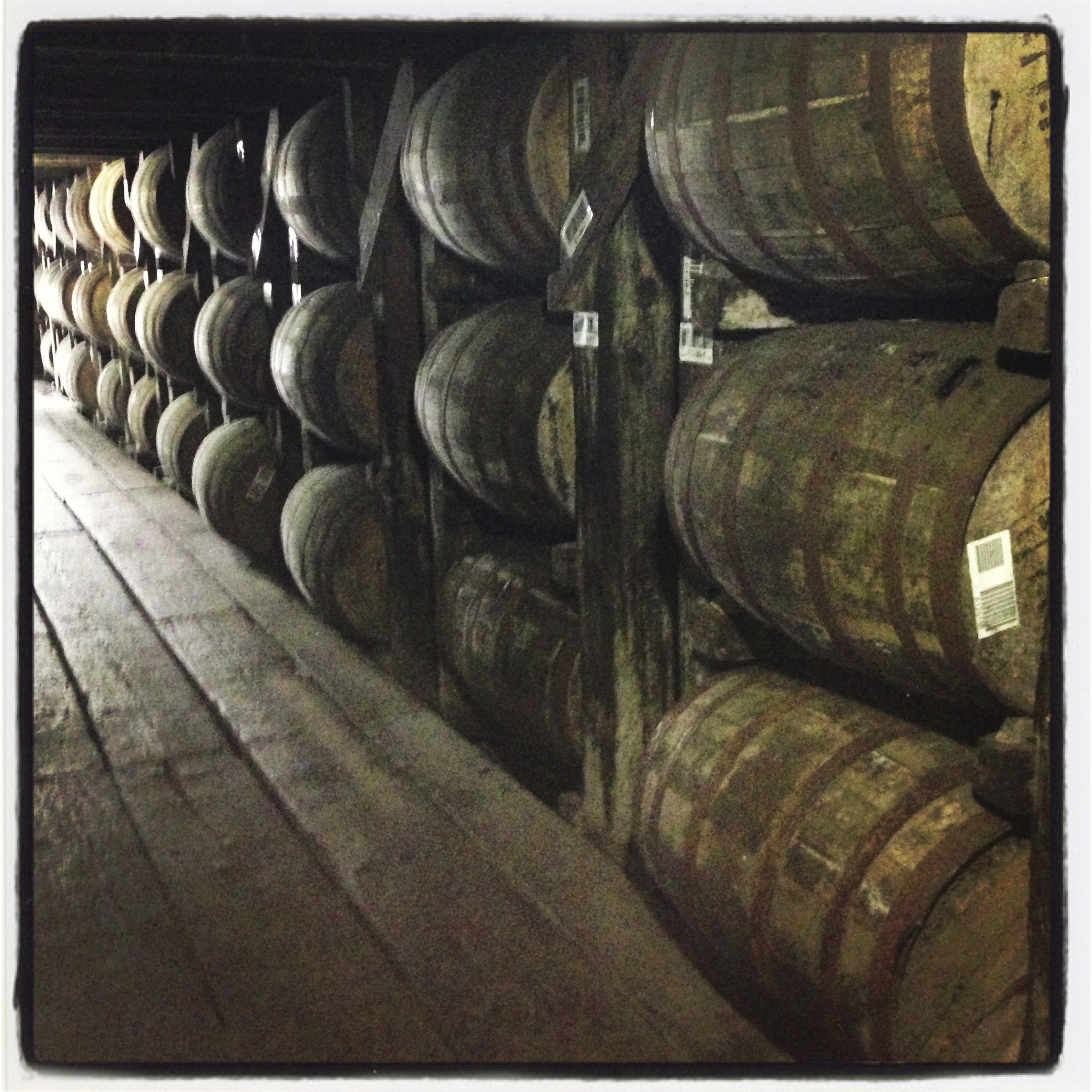 Photo: Jeff Cioletti