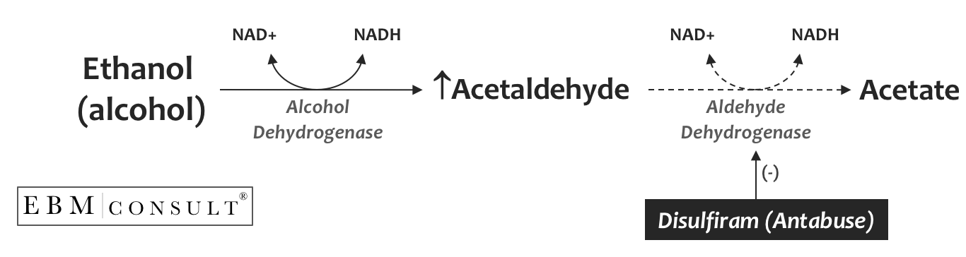Disulfiram and Coprine interfere with Ethanol