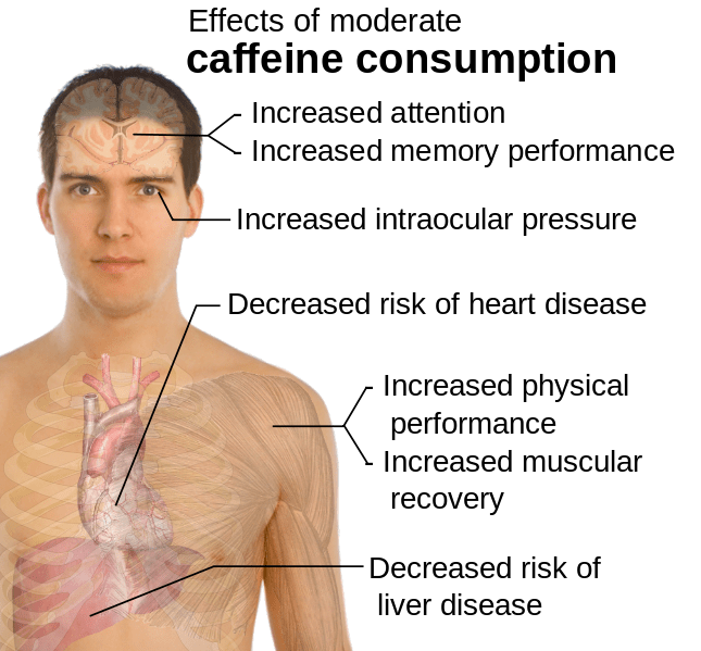 Mikael Häggström, CC0, via Wikimedia Commons