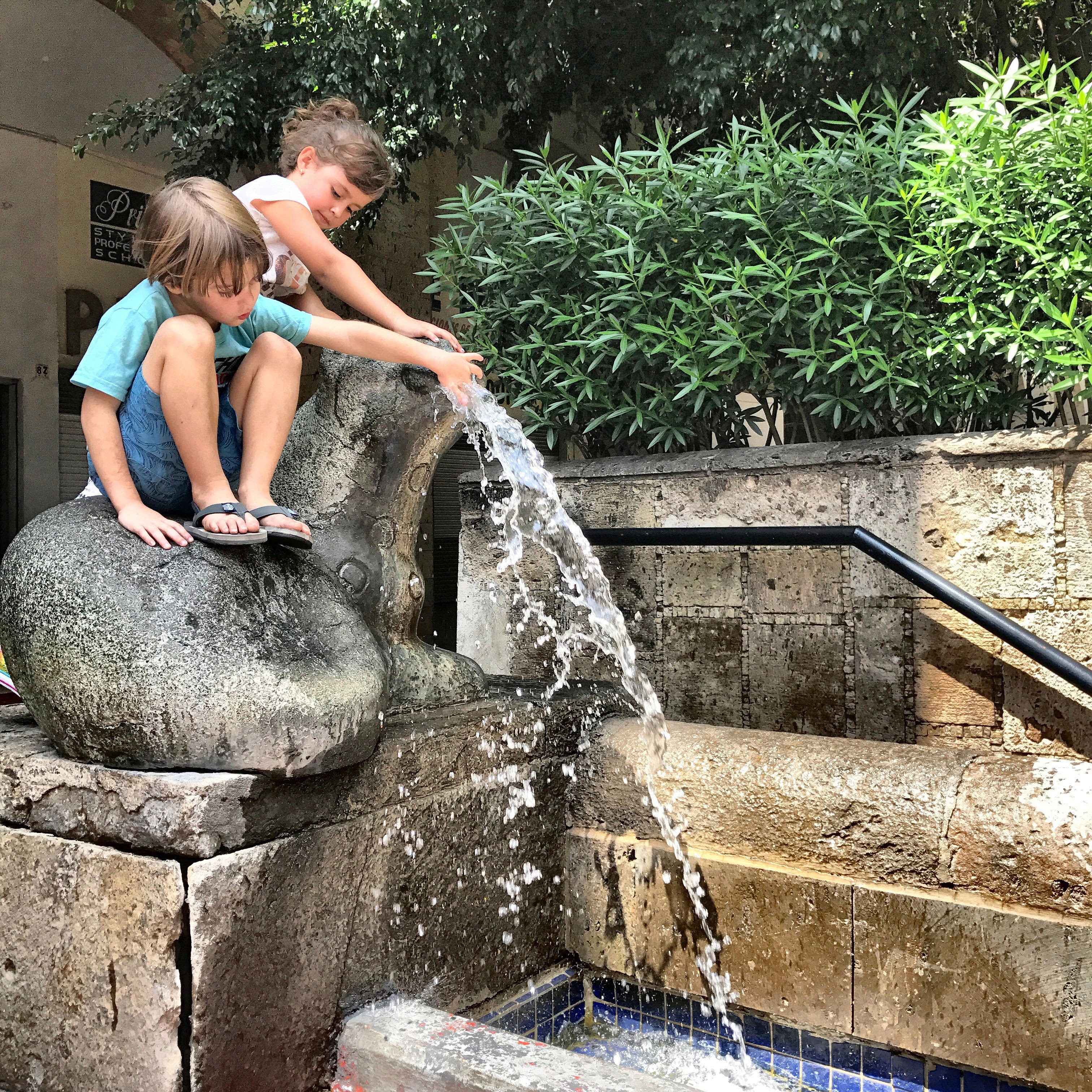 Processed with MOLDIV