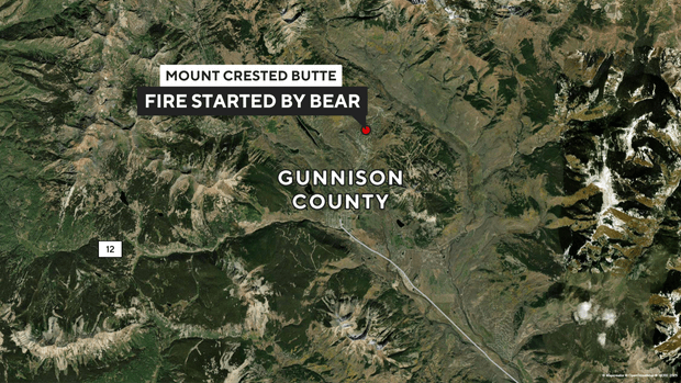 Colorado firefighters say bear broke into home and started fire