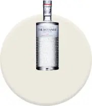 Gin