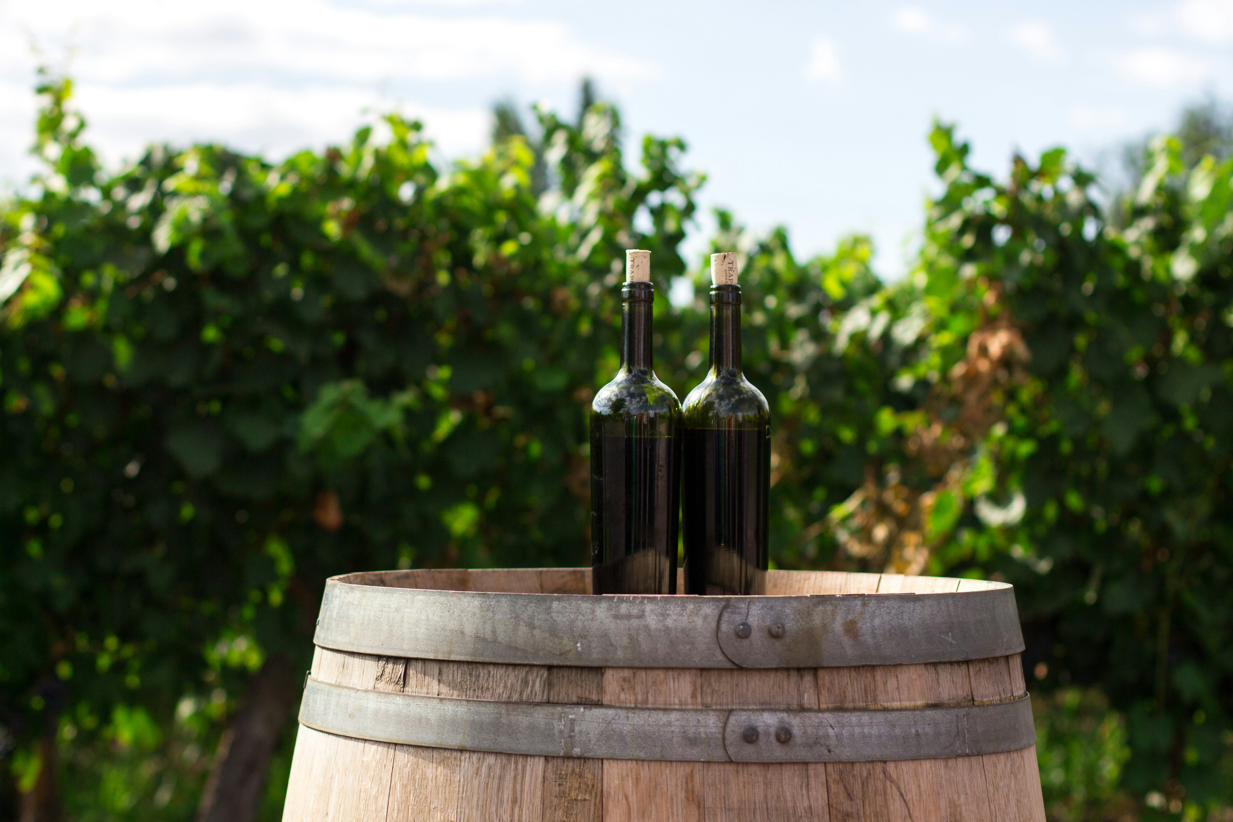 The Swiss Wine Route: Exploring Vineyards and Local Vintages