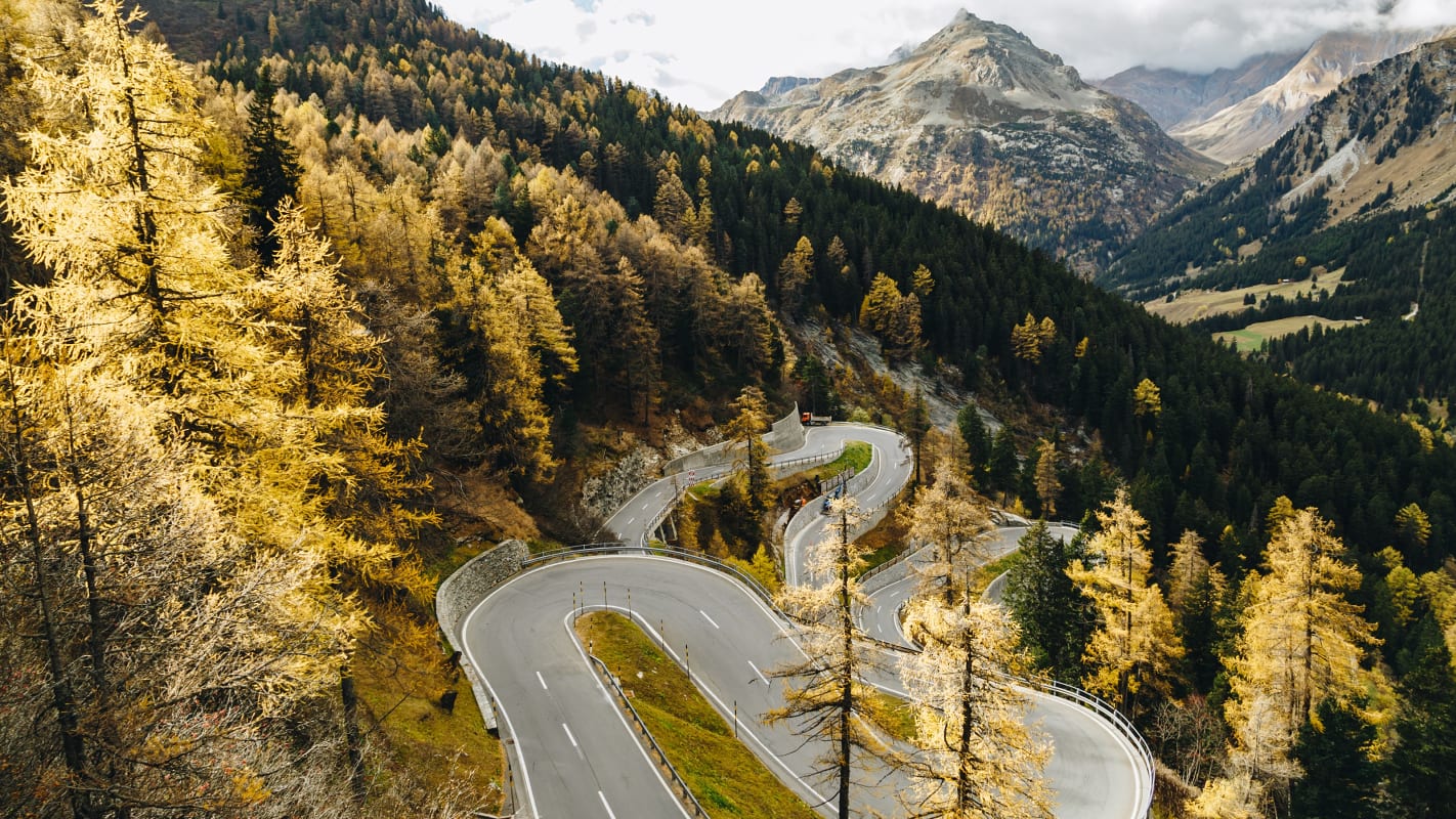 What percentage of Swiss area is occupied by the Alps?