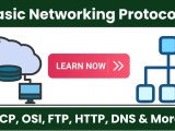 Basic Networking Protocols Explained Beginner S Guide 2025