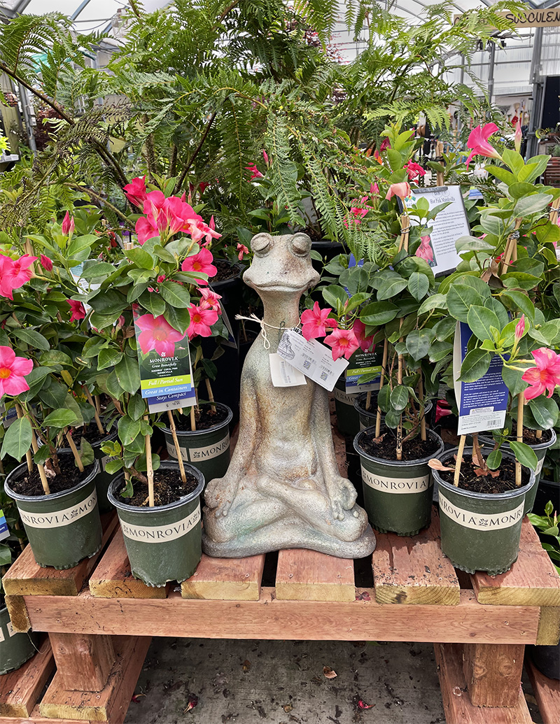85 Yamagami's Garden Center – Driving Miss Viola